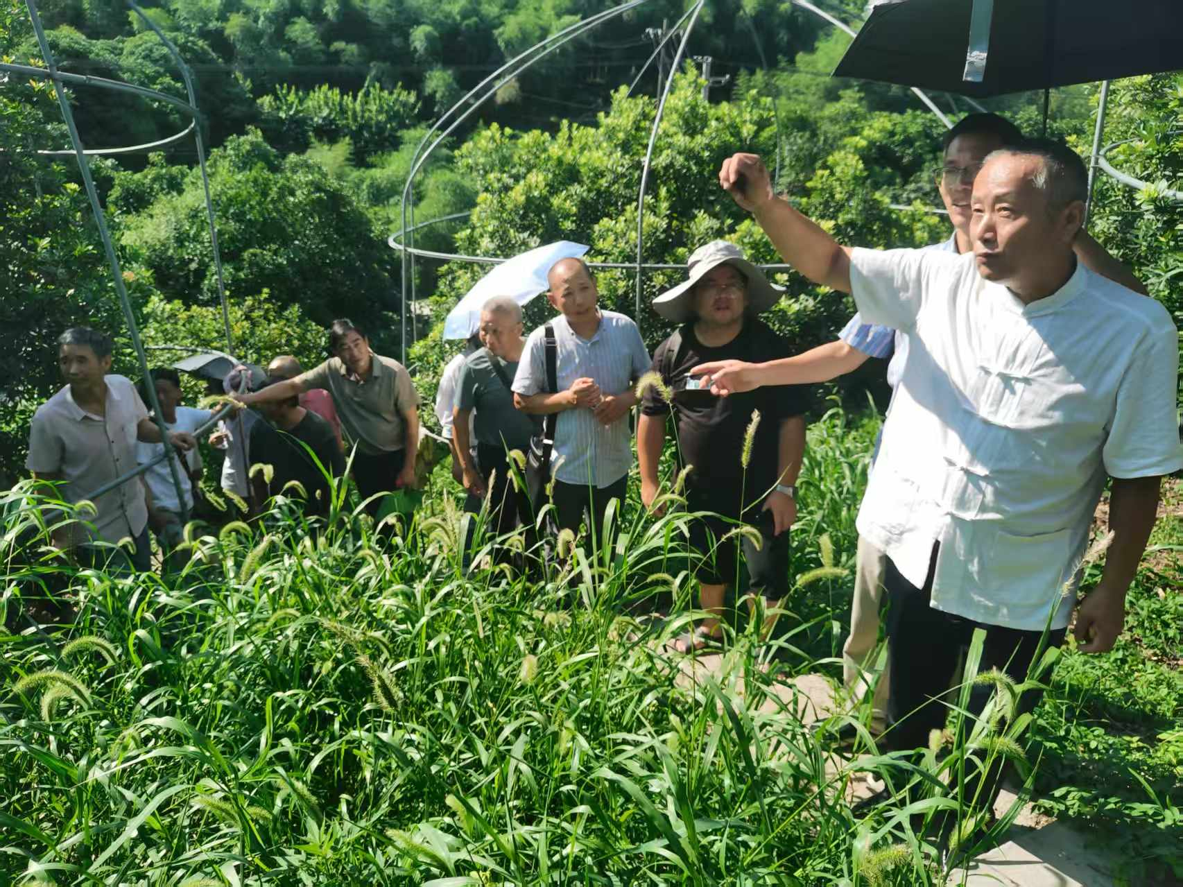 全市农业生产经营主体质量与品牌提升培训班在我...