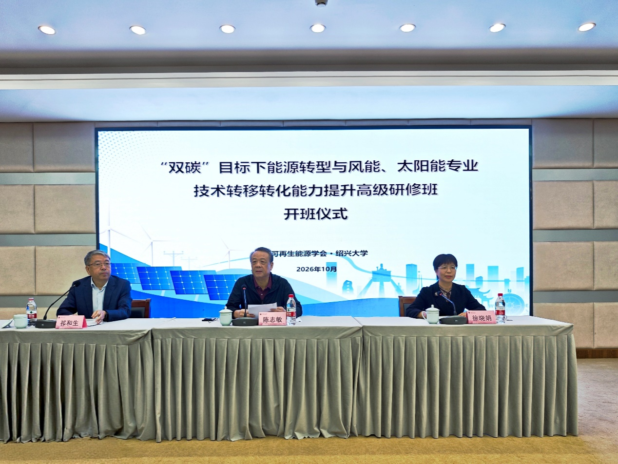 “双碳”目标下能源转型与风能、太阳能领域专业...